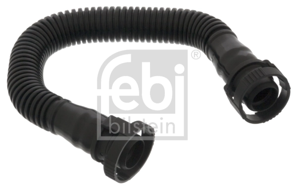 Hose, cylinder head cover ventilation